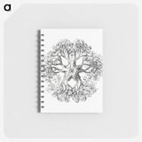 1-48_Ernst-Haeckel_memo