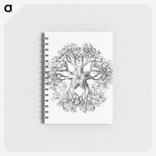 1-48_Ernst-Haeckel_memo