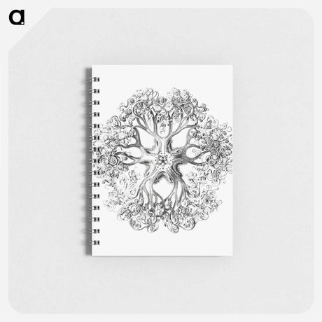 アートメモ帳-Vintage brittle star illustration - エルンスト ヘッケル Memo.