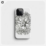 1-48_Ernst-Haeckel_phone