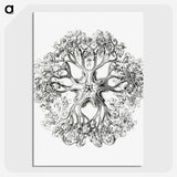 1-48_Ernst-Haeckel_picture-crop