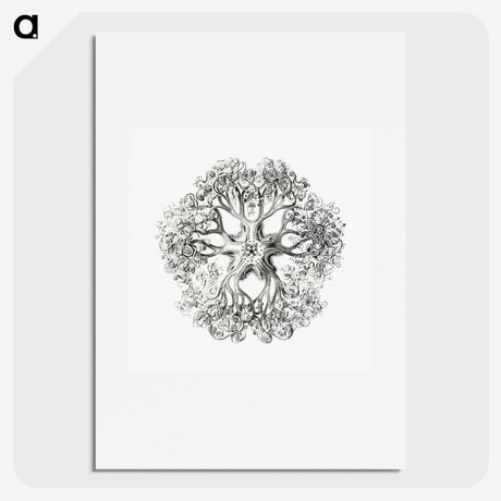 1-48_Ernst-Haeckel_picture