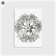 1-48_Ernst-Haeckel_postcard