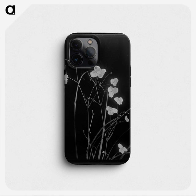 1-48_Frederick-Charles-Brockett_phone