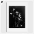 1-48_Frederick-Charles-Brockett_picture