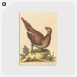 1-48_George-Edwards_postcard