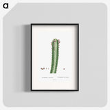 1-48_Histoire-des-Plantes-Grasses_blk