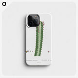 1-48_Histoire-des-Plantes-Grasses_phone