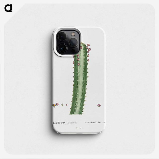 1-48_Histoire-des-Plantes-Grasses_phone