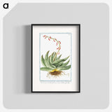 1-48_Hortus-Romanus-Botanical-Plates_blk