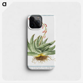 1-48_Hortus-Romanus-Botanical-Plates_phone