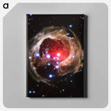 アートパネル-Light Echo of V838 Monocerotis
 - ハッブル画像 Canvas.