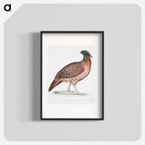 1-48_Indian-Zoology_blk