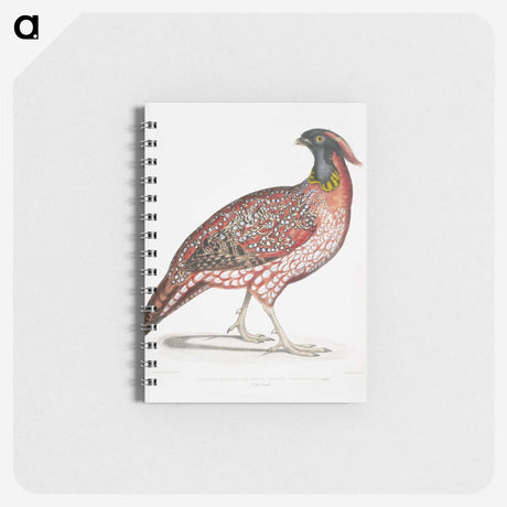 1-48_Indian-Zoology_memo