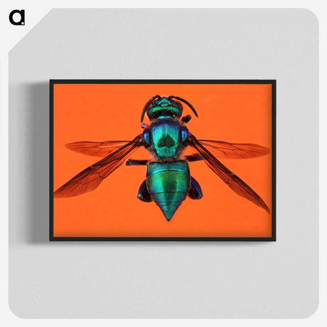 1-48_Insects-Unlocked-Project_blk-crop