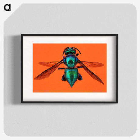 1-48_Insects-Unlocked-Project_blk
