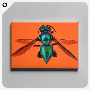 1-48_Insects-Unlocked-Project_canvas