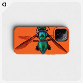 1-48_Insects-Unlocked-Project_phone