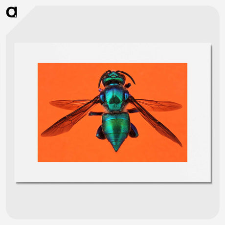 1-48_Insects-Unlocked-Project_picture
