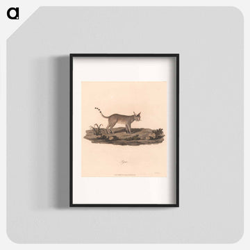 Lynx
 - ジェームス ヒース Poster.