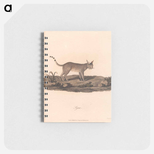 Lynx
 - ジェームス ヒース Memo.