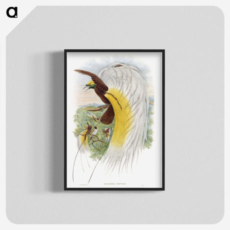 1-48_John-Gould_blk-crop