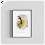 1-48_John-Gould_blk