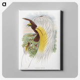 1-48_John-Gould_canvas