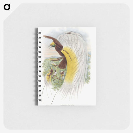 1-48_John-Gould_memo