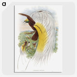 1-48_John-Gould_picture-crop