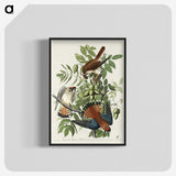 1-48_John-James-Audubon_blk-crop