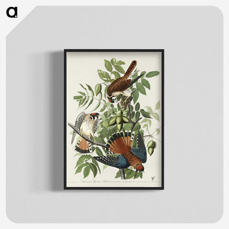 1-48_John-James-Audubon_blk-crop
