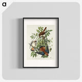 1-48_John-James-Audubon_blk