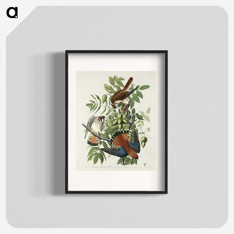 1-48_John-James-Audubon_blk