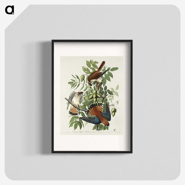 1-48_John-James-Audubon_blk