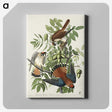1-48_John-James-Audubon_canvas