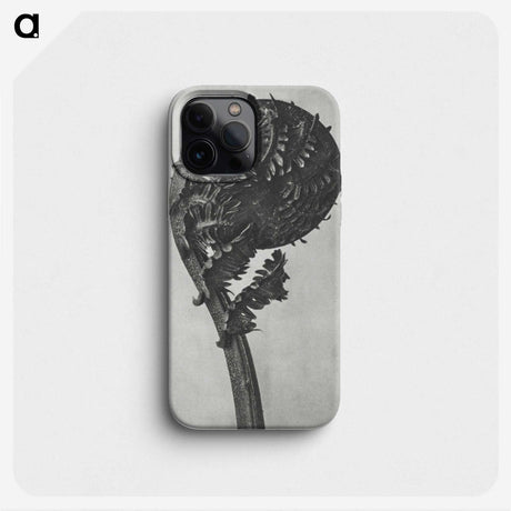 1-48_Karl-Blossfeldt_phone