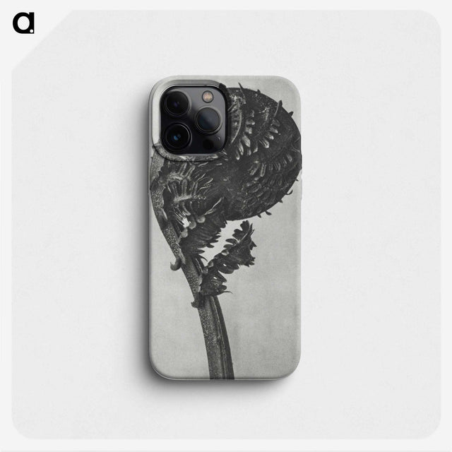 1-48_Karl-Blossfeldt_phone