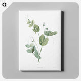 1-48_La-Botanique_canvas