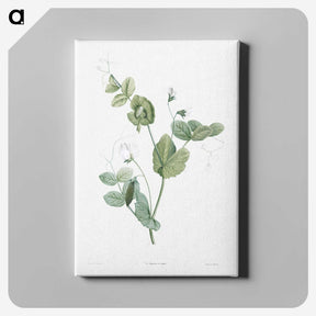 1-48_La-Botanique_canvas