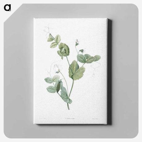 1-48_La-Botanique_canvas