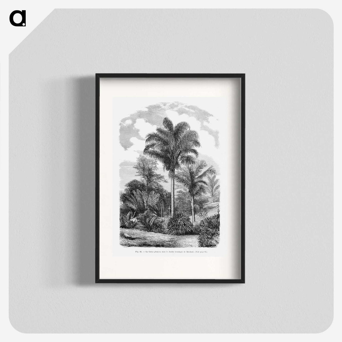 1-48_Les-Palmiers-Histoire-Iconographique_blk