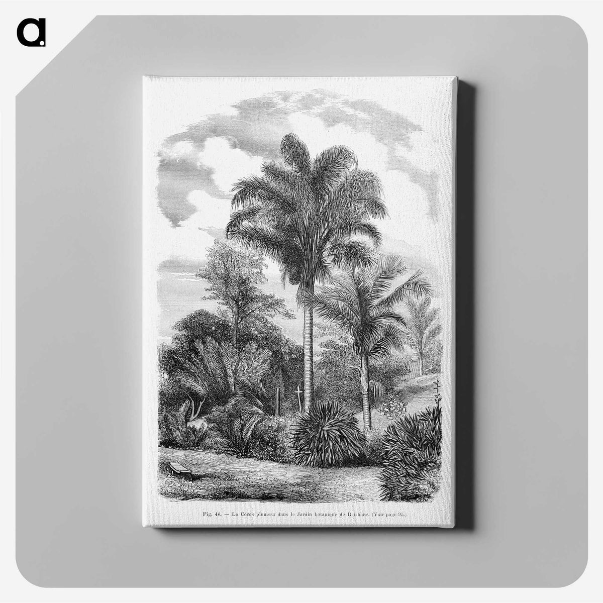 1-48_Les-Palmiers-Histoire-Iconographique_canvas