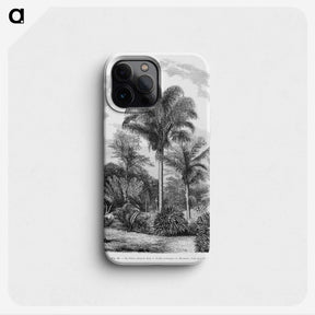 1-48_Les-Palmiers-Histoire-Iconographique_phone
