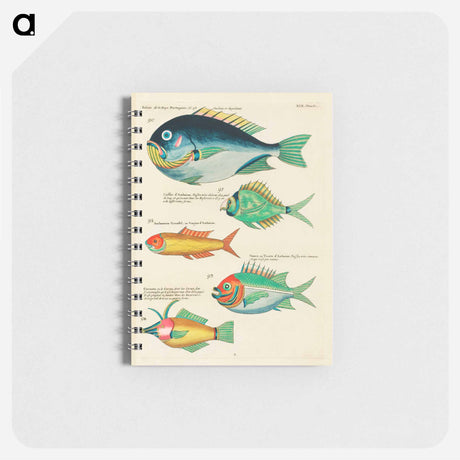 アートメモ帳-Moluccan Fishes
 - ルイ ルナール Memo.