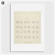 1-48_Luigi-Balugani_picture