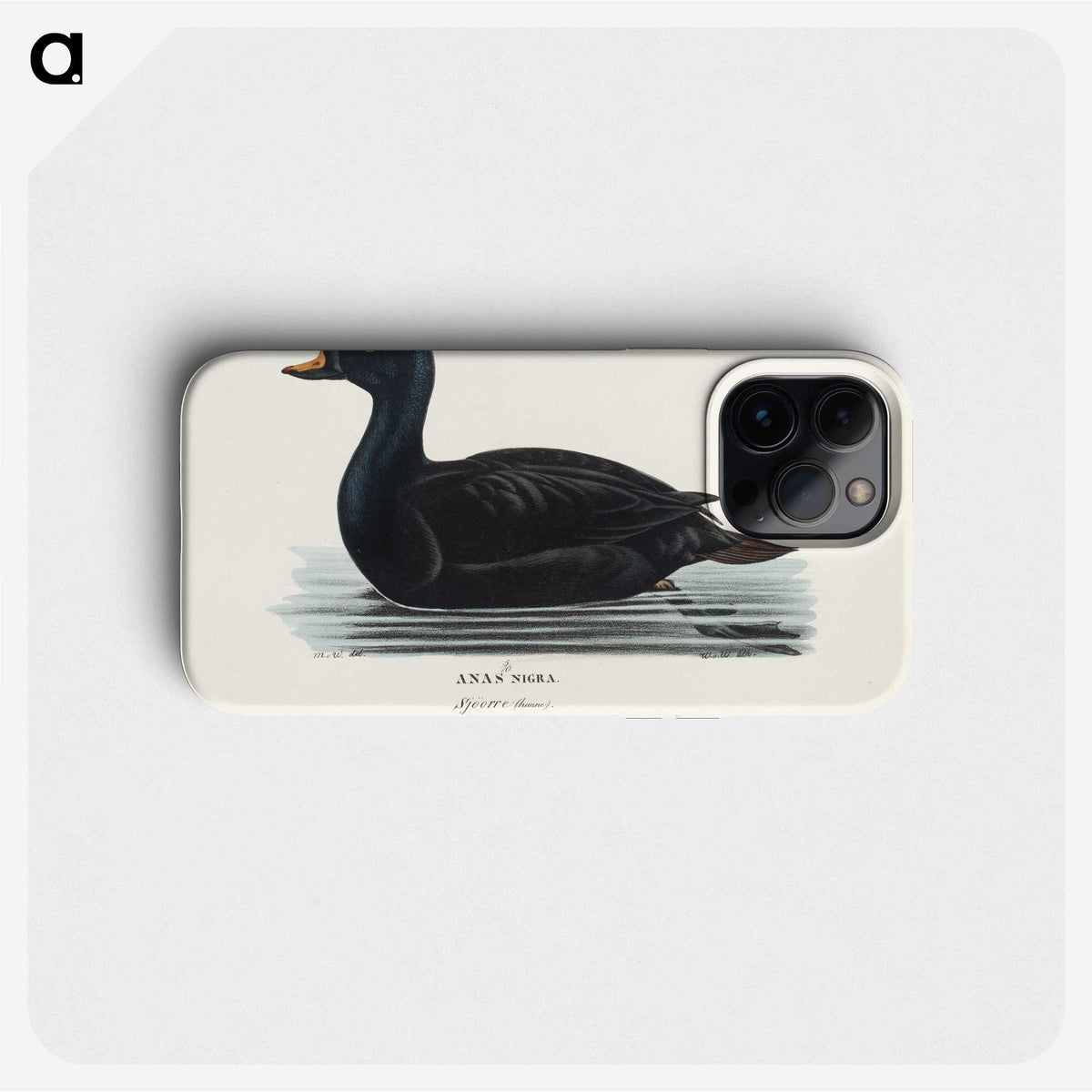 1-48_Magnus-von-Wright_phone