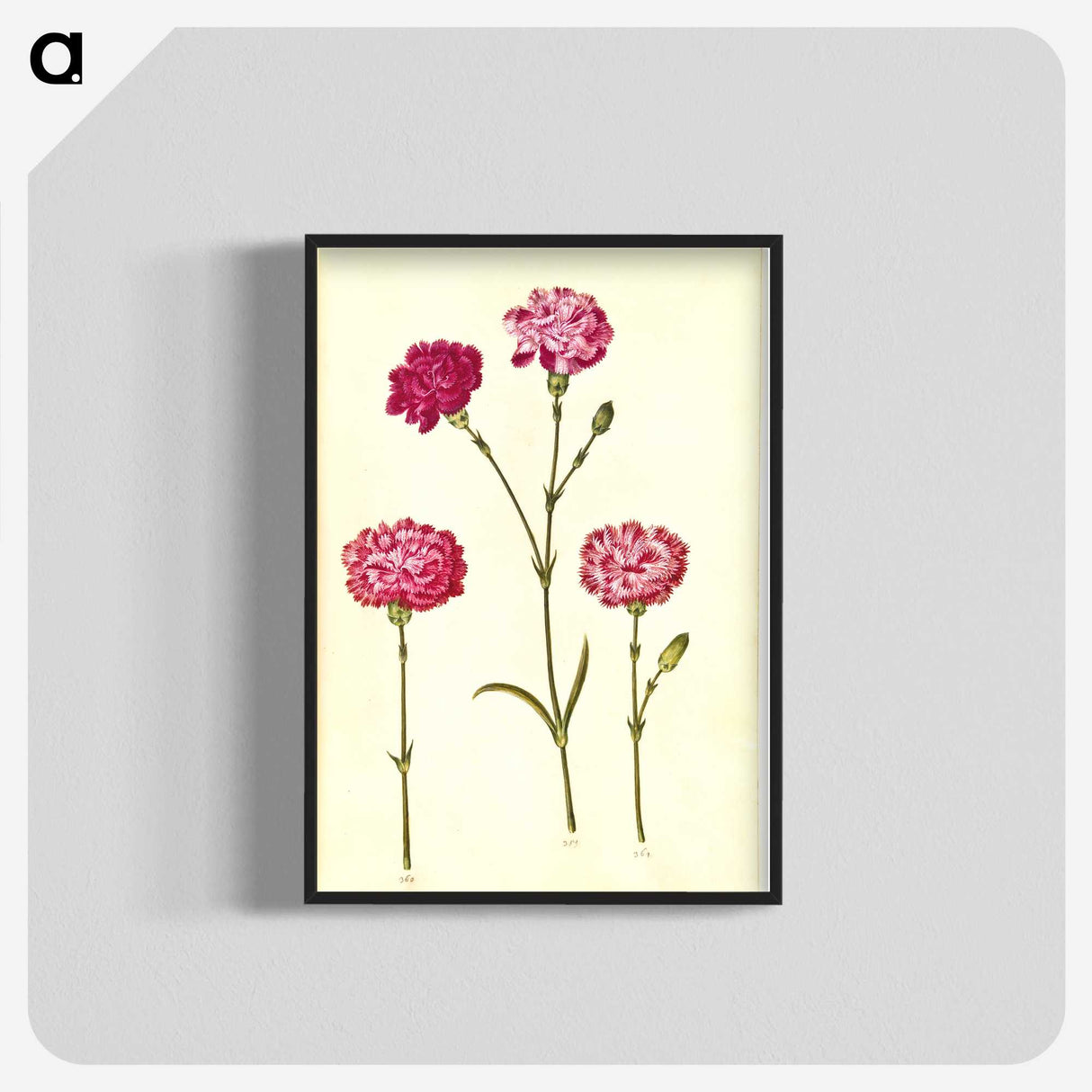 1-48_Maria-Sibylla-Merian_blk-crop