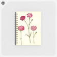 アートメモ帳-Dianthus caryophyllus
 - マリア ジビーラ メーリアン Memo.