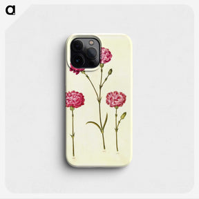 1-48_Maria-Sibylla-Merian_phone